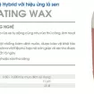 Hóa chất wax công nghệ Hybrid với hiệu ứng lá sen